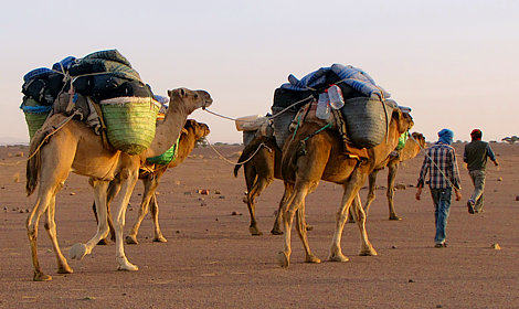 Un guide au Maroc