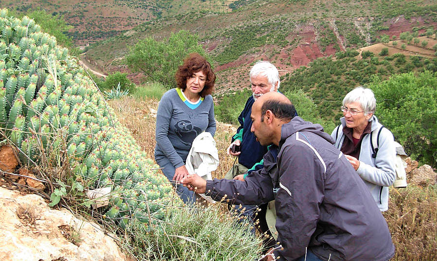 guide-personnel-professionnel-marocain