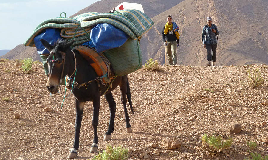 montagne-maroc-randonnee