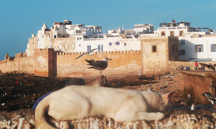 sejour-essaouira-excursion-visite